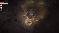 Darkwood Screenshots