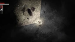 Darkwood Screenshots
