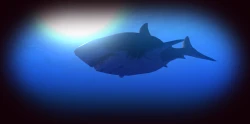 Feed and Grow: Fish Screenshots