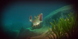 Feed and Grow: Fish Screenshots