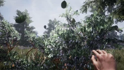 Fragmented Screenshots