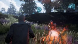 Fragmented Screenshots