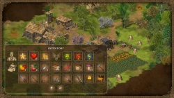 Hero of the Kingdom Screenshots