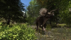 Dinosaur Forest Screenshots