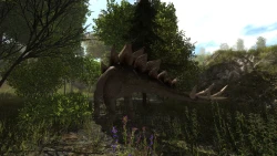 Dinosaur Forest Screenshots