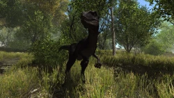 Dinosaur Forest Screenshots