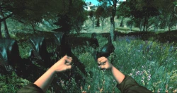 Dinosaur Forest Screenshots
