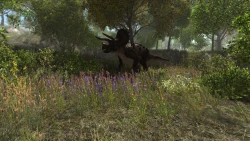 Dinosaur Forest Screenshots