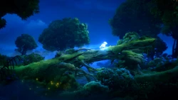 Ori and the Will of the Wisps Screenshots