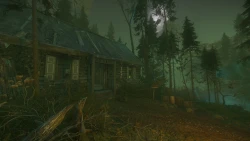 The Cursed Forest Screenshots