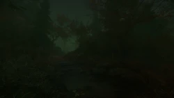 The Cursed Forest Screenshots