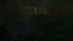 The Cursed Forest Screenshots