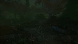 The Cursed Forest Screenshots