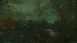 The Cursed Forest Screenshots