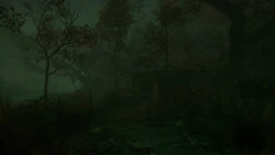 The Cursed Forest Screenshots