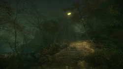 The Cursed Forest Screenshots