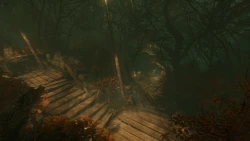 The Cursed Forest Screenshots