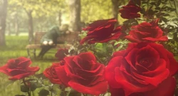 Скриншот к игре Rule of Rose