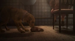 Скриншот к игре Rule of Rose