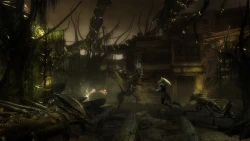 Two Worlds 2: Call of the Tenebrae Screenshots