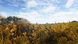 Animallica Screenshots