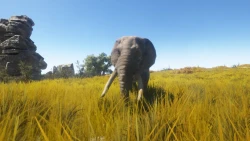 Animallica Screenshots