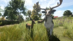 Animallica Screenshots
