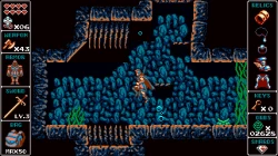 Скриншот к игре Odallus: The Dark Call