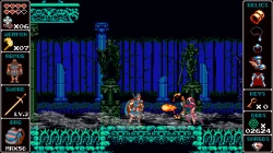 Odallus: The Dark Call Screenshots
