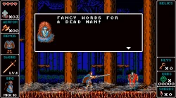 Odallus: The Dark Call Screenshots