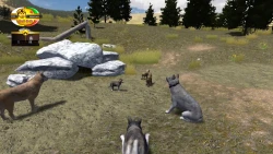 Скриншот к игре WolfQuest