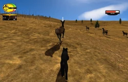 WolfQuest Screenshots