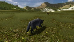 WolfQuest Screenshots