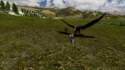 WolfQuest Screenshots