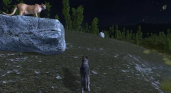 WolfQuest Screenshots