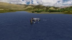 WolfQuest Screenshots
