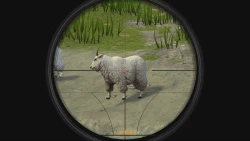 Скриншот к игре Deer Hunter: Reloaded