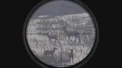 Скриншот к игре Deer Hunter: Reloaded