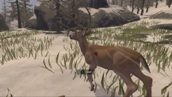 Deer Hunter: Reloaded Screenshots