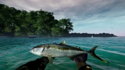 Ultimate Fishing Simulator Screenshots