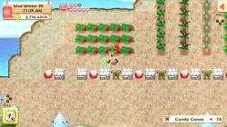 Harvest Moon: Light of Hope Screenshots