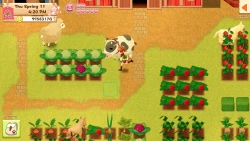 Harvest Moon: Light of Hope Screenshots