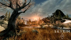 Скриншот к игре The Elder Scrolls V: Skyrim VR