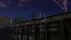 Max and Maya: Cat simulator Screenshots