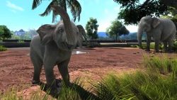Zoo Tycoon: Ultimate Animal Collection Screenshots