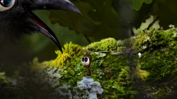 AntVentor Screenshots