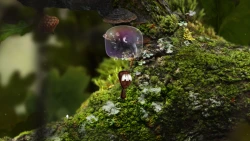 AntVentor Screenshots