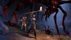 Скриншот к игре The Elder Scrolls Online: Summerset