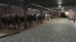 Farmer's Dynasty Screenshots