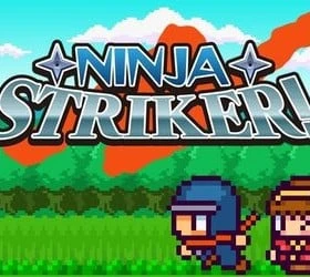 Ninja Striker!